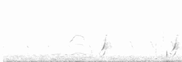 斑胸秧雞 - ML614860025