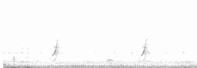 斑胸秧雞 - ML614860031