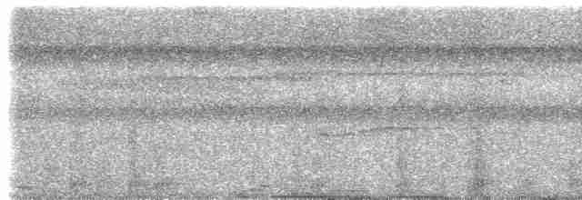 Gray-tailed Piha - ML614868975