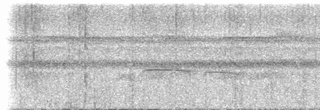 skogtyrann (flaviventris gr.) - ML614869066