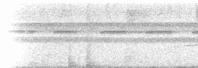 Большеклювый колибри-отшельник - ML614869220
