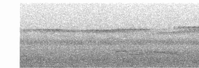 Riesennachtschwalbe - ML614869937