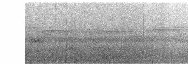 Great Eared-Nightjar - ML614869938