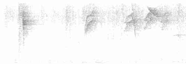 ildtopptanagar (cristatus gr.) - ML614871545