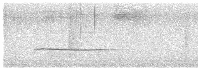 Дроздовая сельвиния [группа turdina] - ML614871750