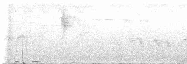 Gouldnektarvogel - ML614879102