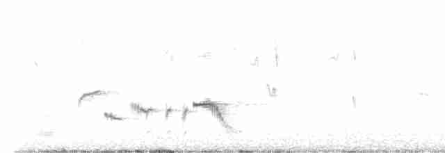 Kara Boğazlı Kamçıkuşu - ML614880780