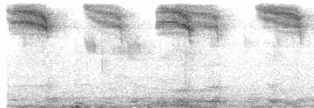 Gözlüklü Drongo Sinekkapanı - ML614881061