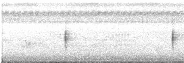 灰胸秧雞 - ML614881085