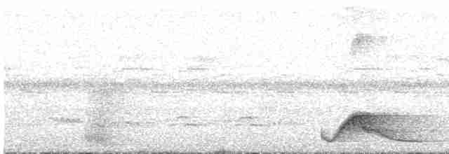 Rufous Nightjar - ML614882557