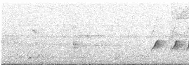 Тиран-крихітка темноголовий - ML614882921