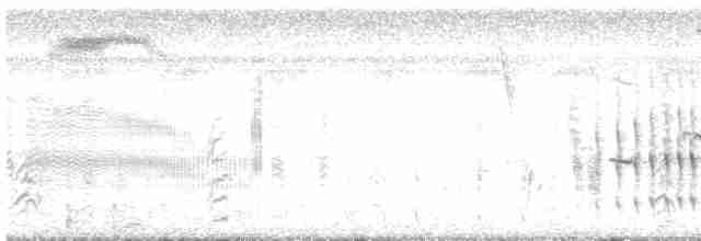 Желтогорлая пищуховая иглохвостка - ML614883167