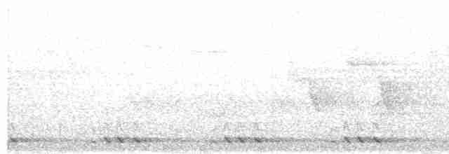 Yeşil Kulaklı Barbet - ML614885168