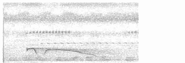 Great Eared-Nightjar - ML614885348