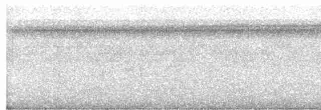 Graubrust-Ameisendrossel - ML614886451