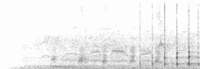 Cigogne blanche - ML614888445