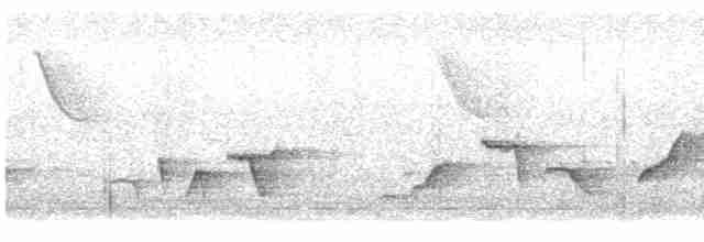 Серогрудый крапивник - ML614892787