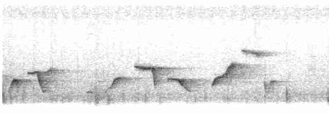 Troglodyte à poitrine grise - ML614892788