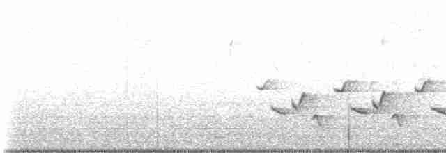Каролинский крапивник - ML614892957