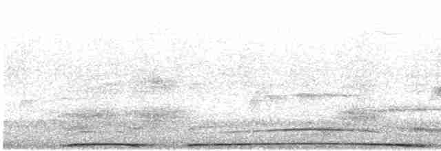 Colombar de Formose (permagnus/medioximus) - ML614895190