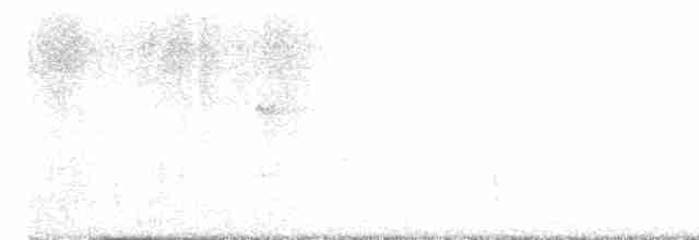 Дрізд-короткодзьоб плямистоволий - ML614895449