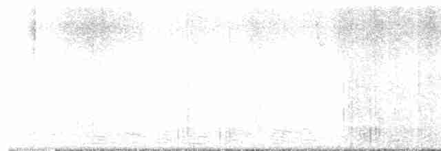 strakapoud proužkohřbetý - ML614897228