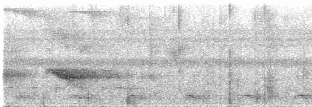 Black-tailed Trogon - ML614899028