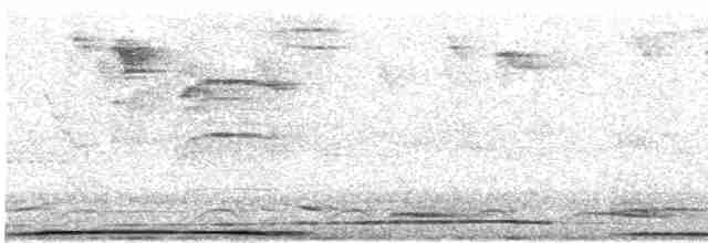 Colombar de Formose (permagnus/medioximus) - ML614899830