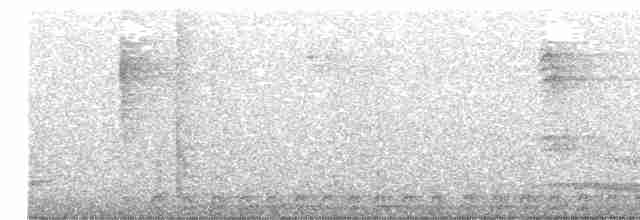 Аспиднохвостый трогон - ML614900261