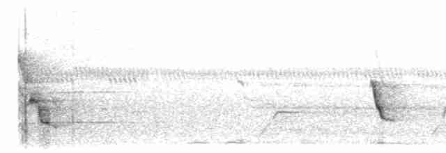 střízlík karolínský (ssp. albinucha/subfulvus) - ML614910029