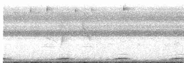 Сероглазая земляная горлица - ML614912238