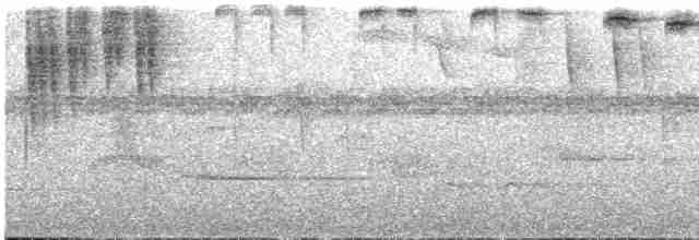Пестрохвостый колибри - ML614913078