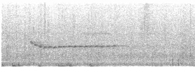 spydknottsmett (rufiventris gr.) - ML614913877