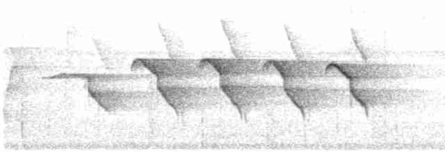 klatremaurvarsler (anabatinus gr.) - ML614914090