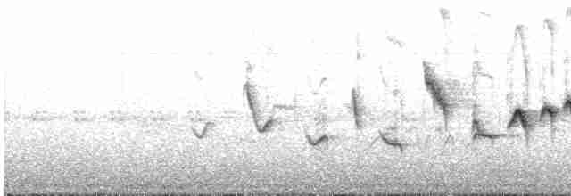 Mascarita Equinoccial (auricularis/peruviana) - ML614915996