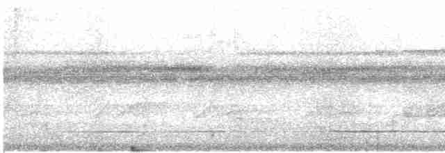 Great Tinamou - ML614916954
