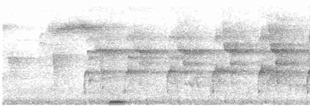 Аракарі плямистоволий [група torquatus] - ML614918301