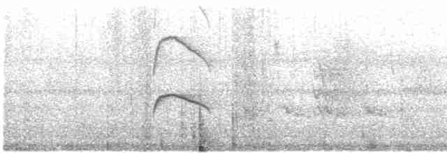 Тиран-карлик жовточеревий - ML614918397