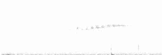 Гигантская иглоногая сова - ML614922517