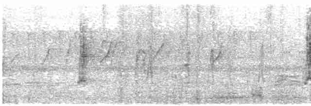 Кратеропа сіролоба - ML614923728