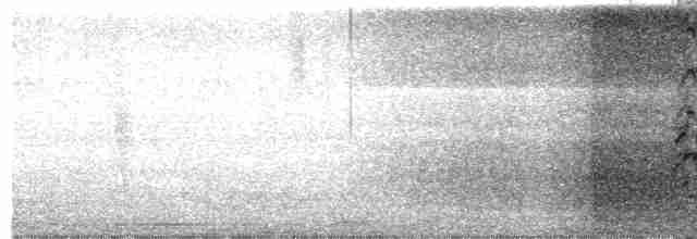 Eurasian Kestrel - ML614924176