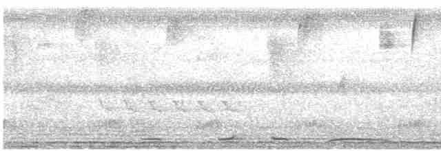 holub krátkozobý - ML614929365
