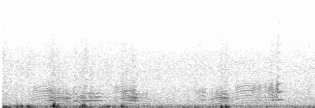Чёрная казарка (hrota) - ML614935946