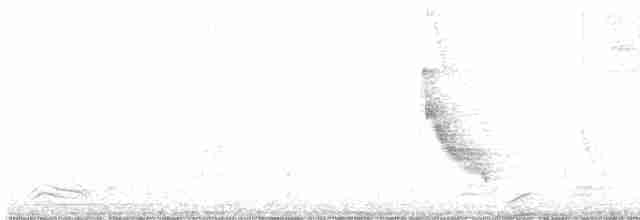 White-browed Laughingthrush - ML614936057
