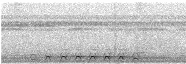 Lattice-tailed Trogon - ML614945179