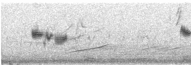Gray-crowned Yellowthroat - ML614948695