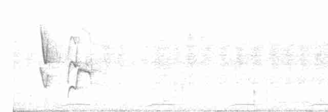 Graustirn-Dickichtschlüpfer - ML614955013