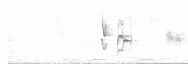 Graustirn-Dickichtschlüpfer - ML614955014