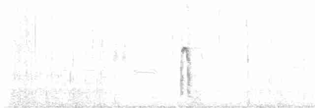 furuskrike (stelleri gr.) - ML614961160