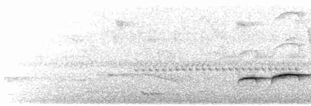 Puff-throated Babbler - ML614963253